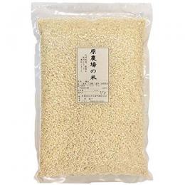 原農場の米(7分搗き/真空パック)　1kg