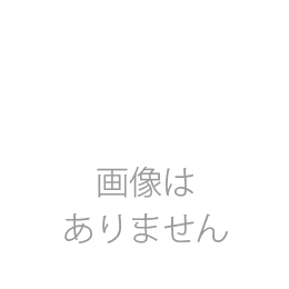オンガネジャパン　参鶏湯風スープ 400g 【メール便対象商品:18】
